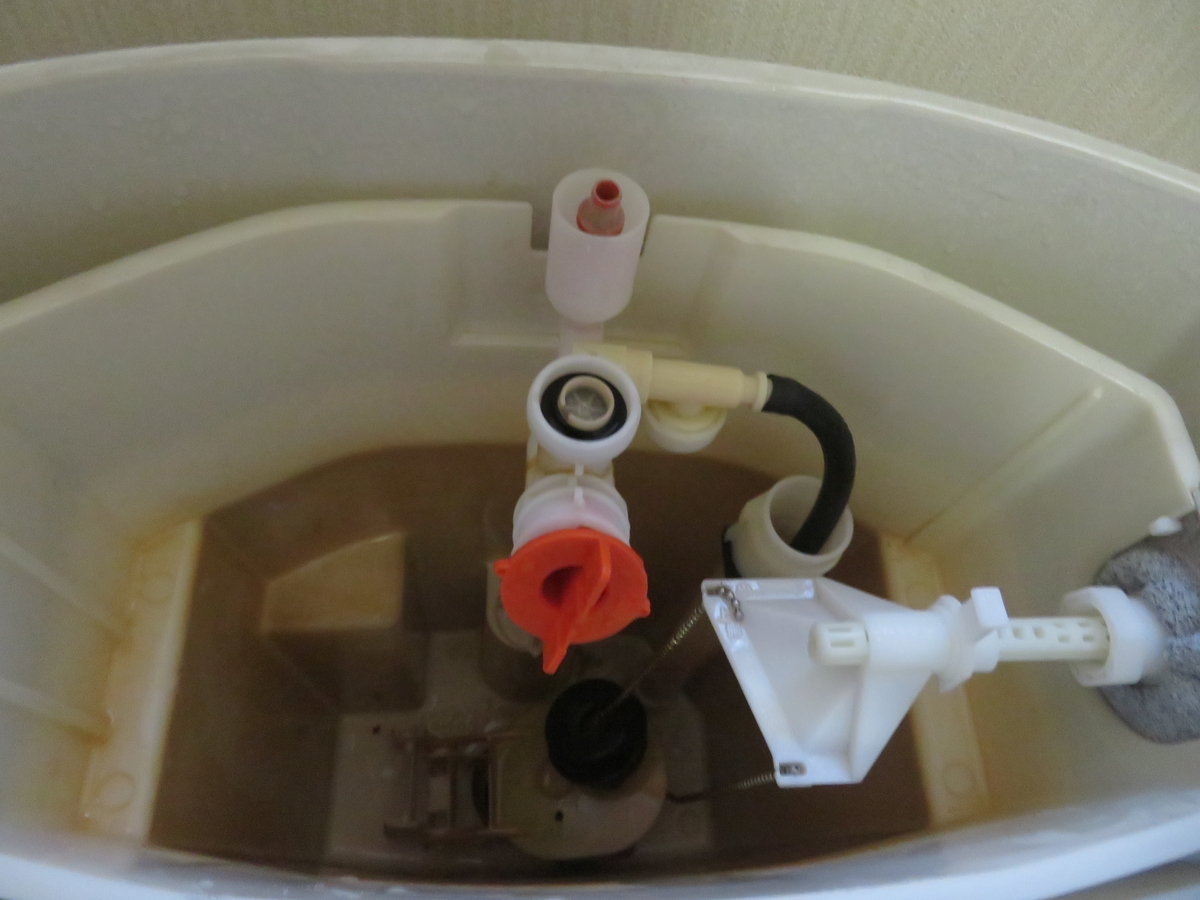 f:id:mannenNA:20220226173744j:plain