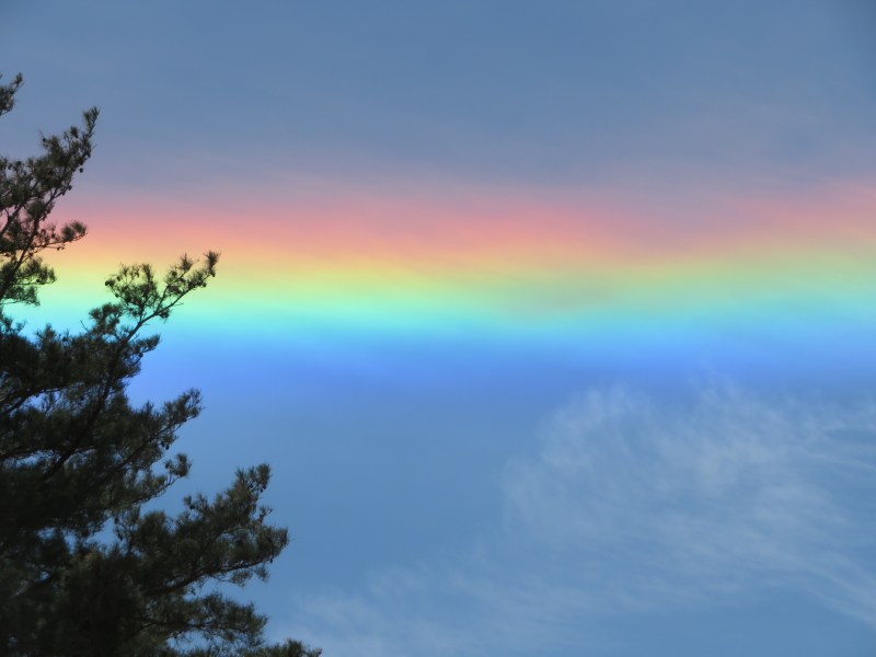 f:id:mannenNA:20220307212918j:plain