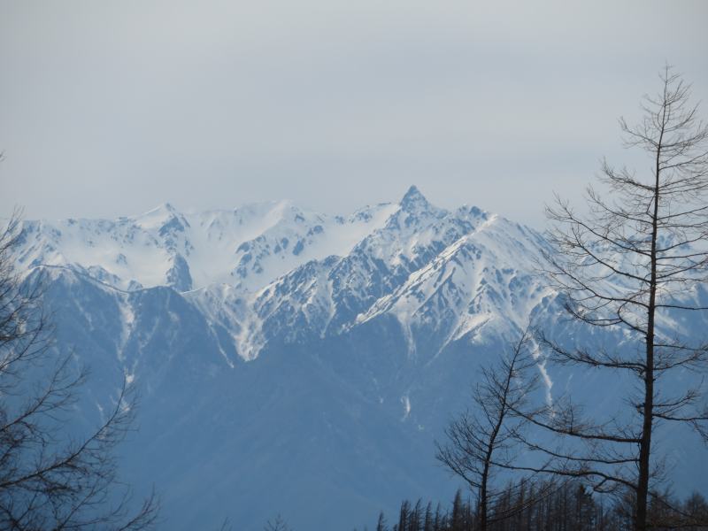 f:id:mannenNA:20220307212936j:plain