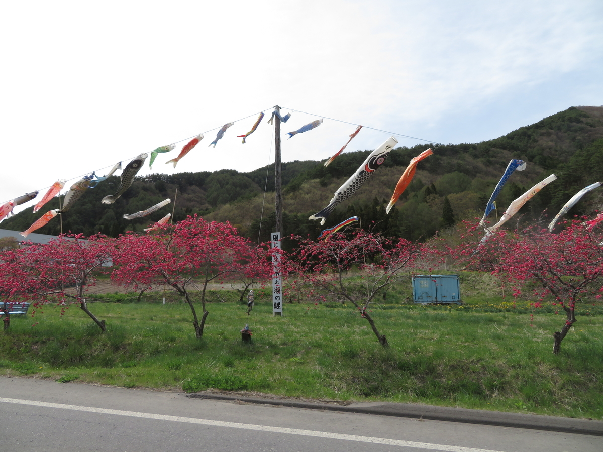 f:id:mannenNA:20220307213134j:plain