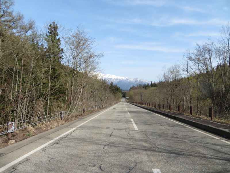 f:id:mannenNA:20220307213446j:plain