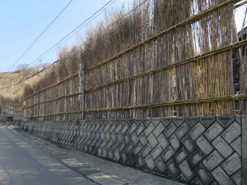 f:id:mannenNA:20220316200145j:plain