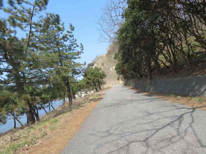 f:id:mannenNA:20220316200235j:plain