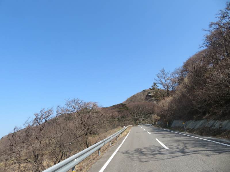 f:id:mannenNA:20220318193948j:plain