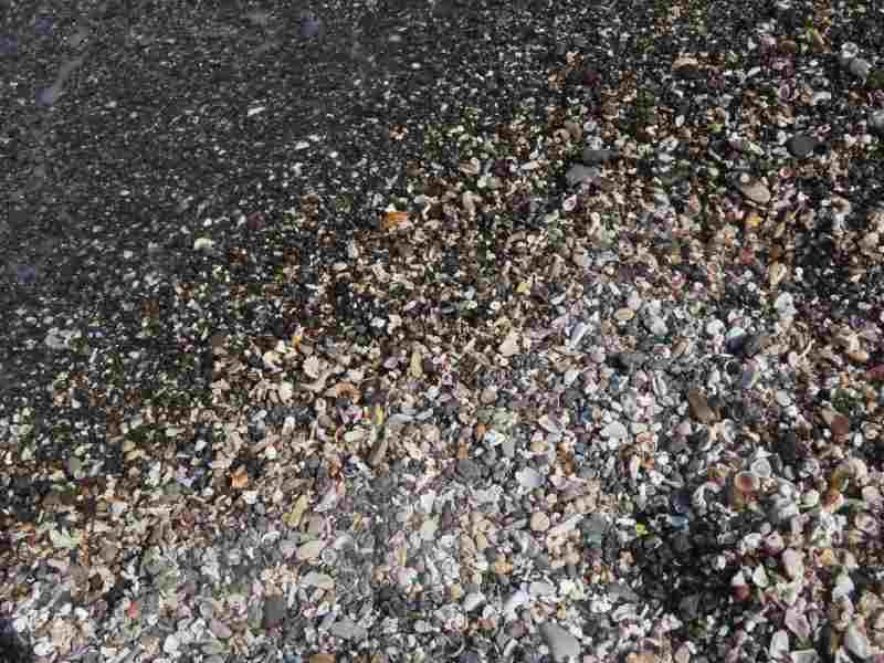 f:id:mannenNA:20220318194544j:plain