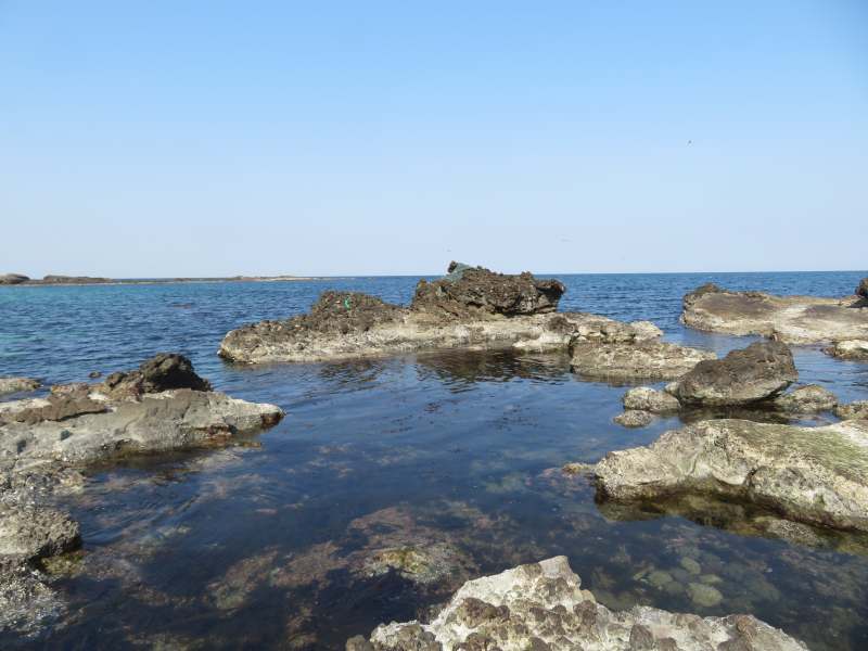 f:id:mannenNA:20220319083307j:plain