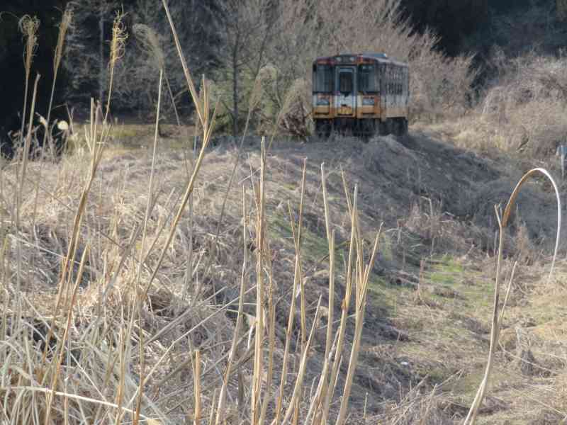 f:id:mannenNA:20220319083431j:plain