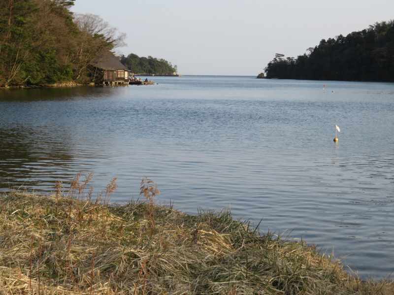 f:id:mannenNA:20220320181233j:plain