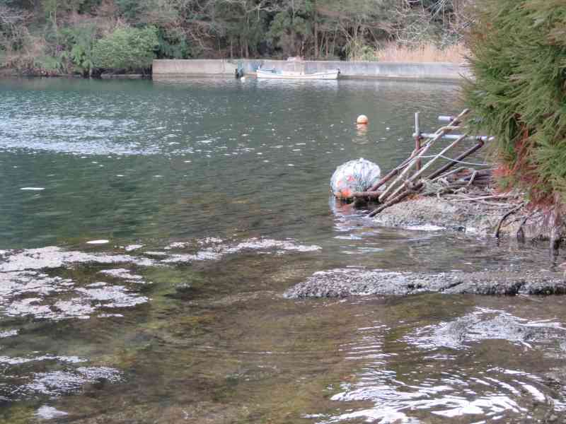 f:id:mannenNA:20220320182619j:plain