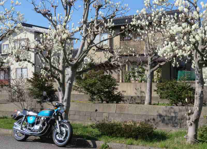 f:id:mannenNA:20220404200955j:plain