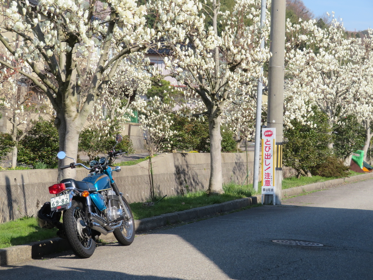 f:id:mannenNA:20220404201159j:plain