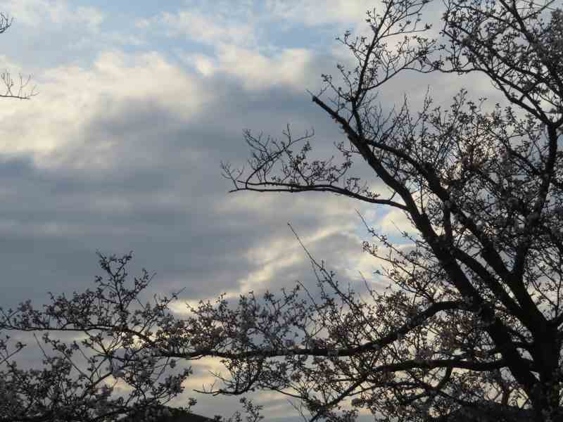 f:id:mannenNA:20220405200133j:plain