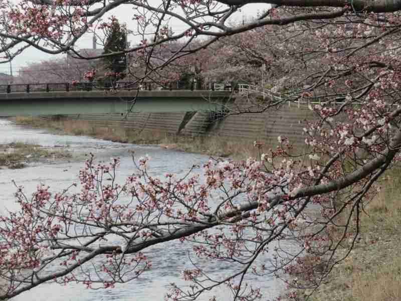 f:id:mannenNA:20220405200221j:plain