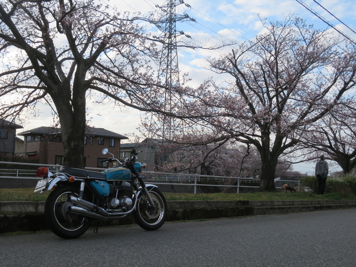 f:id:mannenNA:20220405201523j:plain