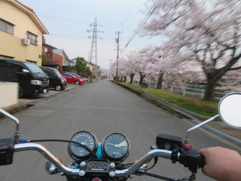 f:id:mannenNA:20220406205054j:plain