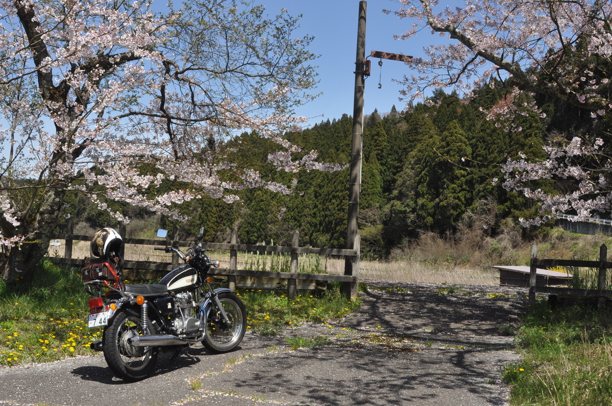 f:id:mannenNA:20220407203328j:plain