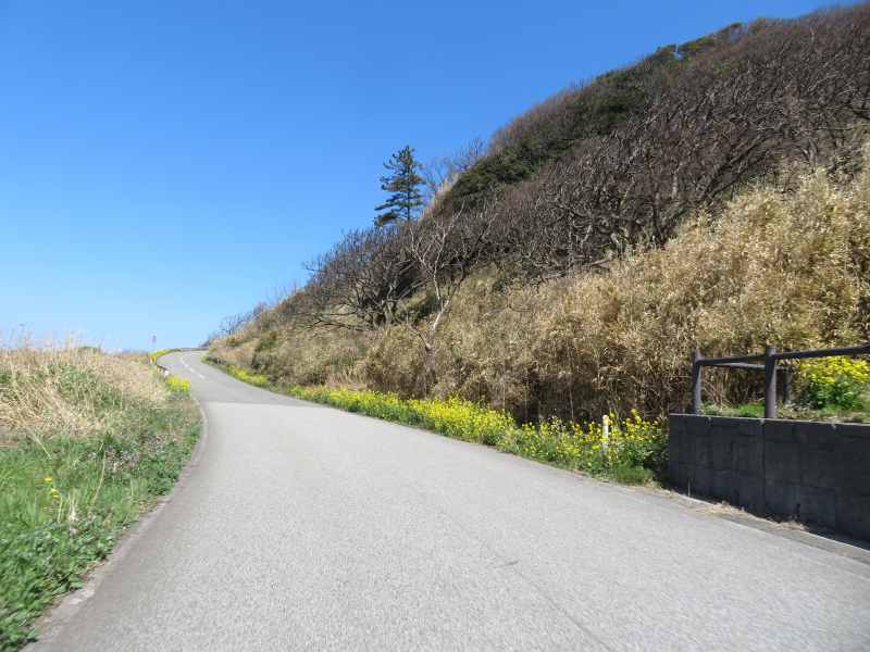 f:id:mannenNA:20220410200322j:plain