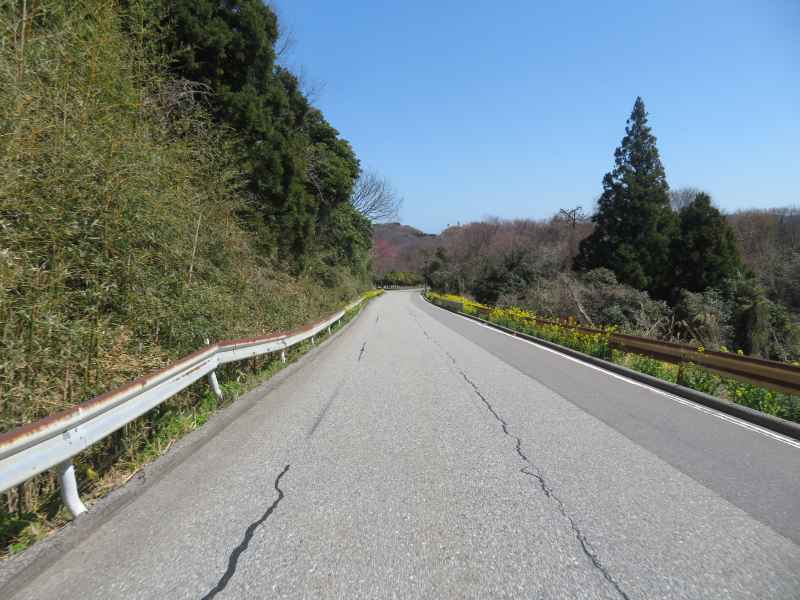 f:id:mannenNA:20220410200618j:plain