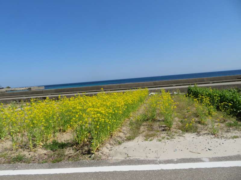 f:id:mannenNA:20220412201100j:plain