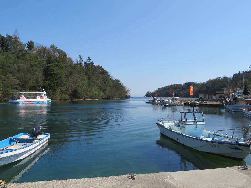 f:id:mannenNA:20220412201137j:plain