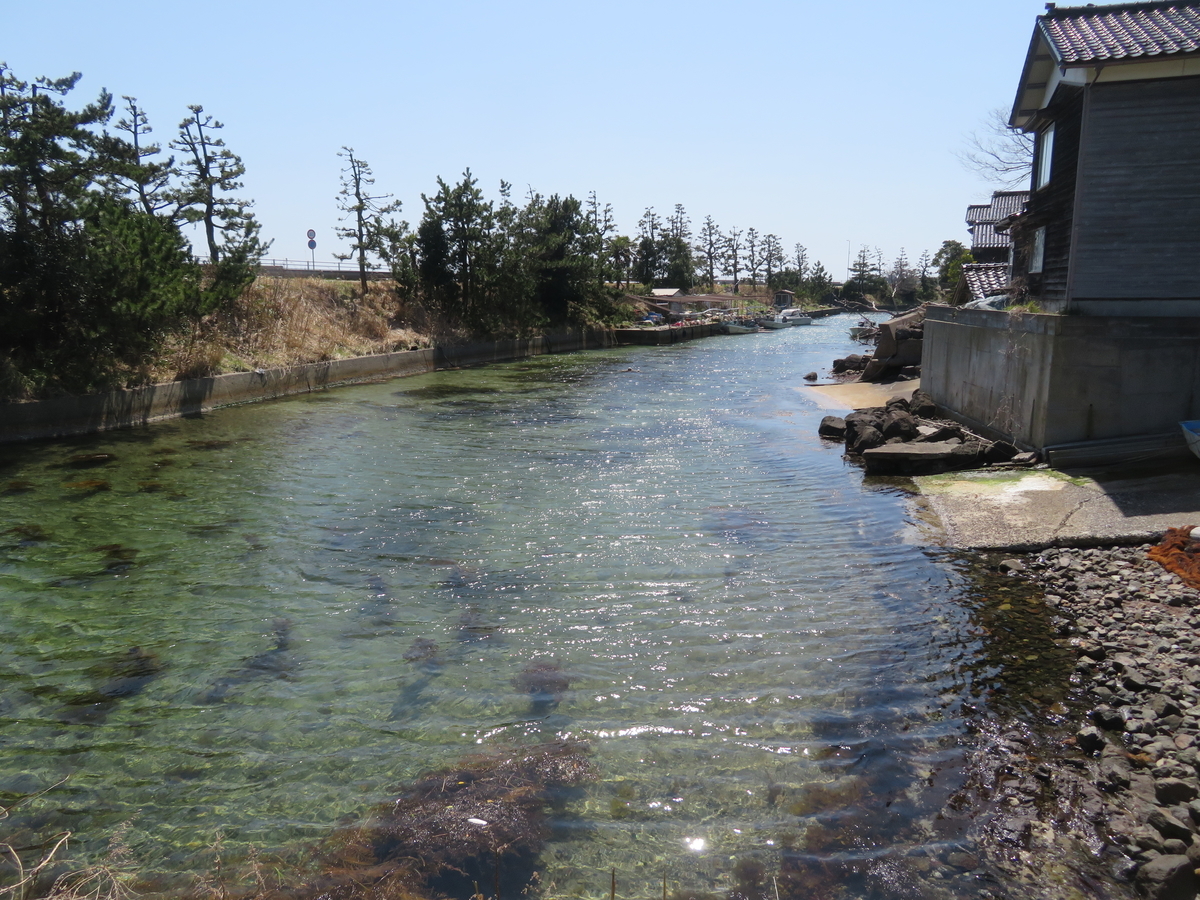 f:id:mannenNA:20220412201644j:plain