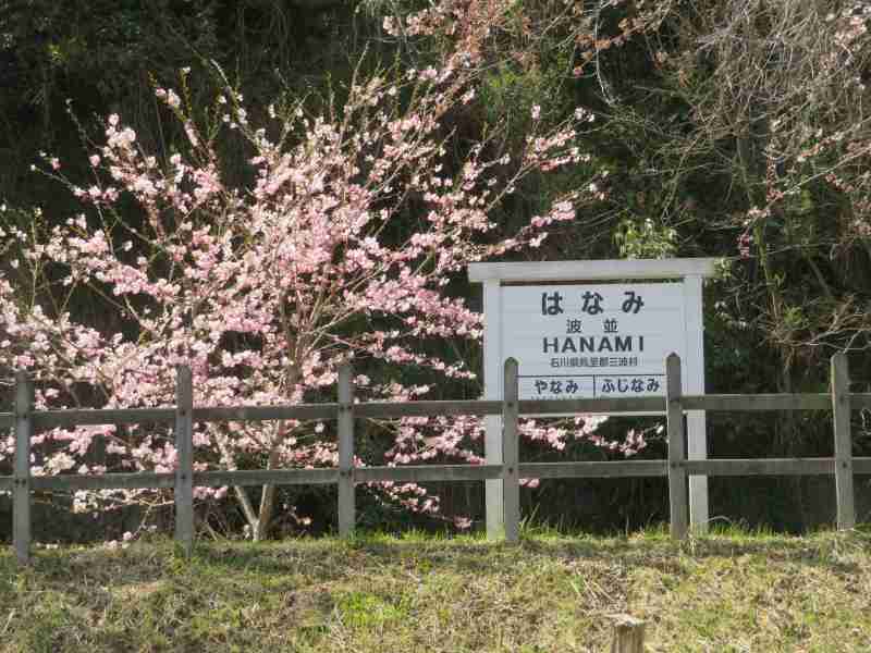 f:id:mannenNA:20220413192156j:plain