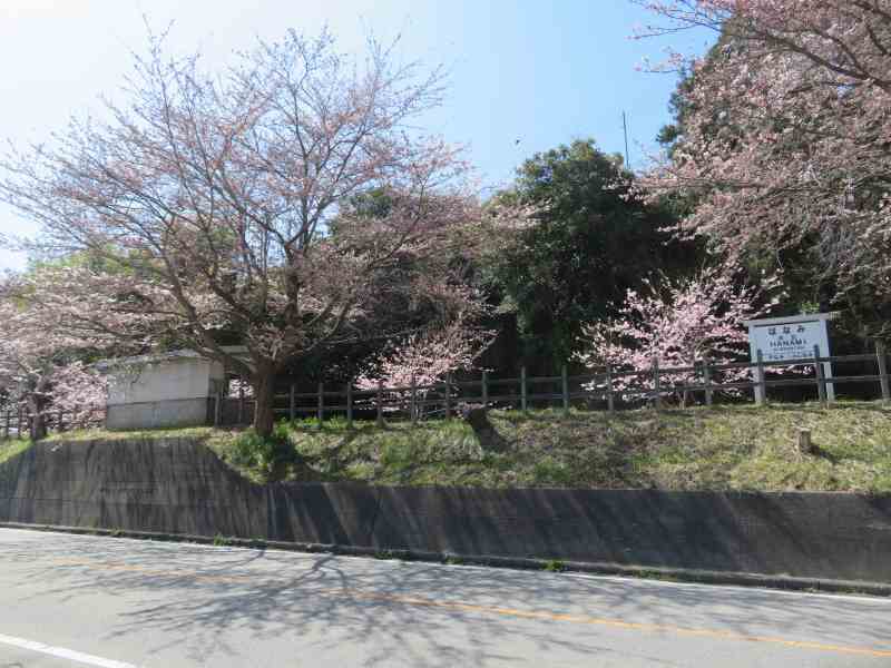 f:id:mannenNA:20220413192208j:plain