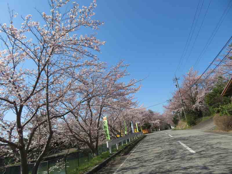 f:id:mannenNA:20220415195343j:plain