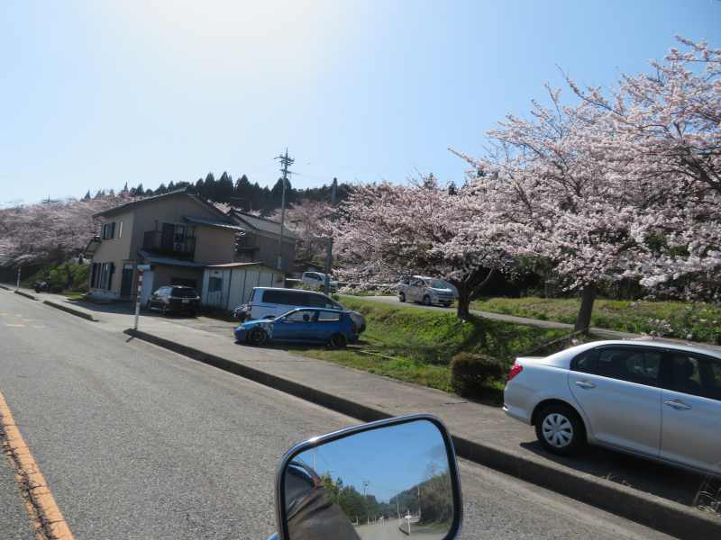 f:id:mannenNA:20220415195401j:plain