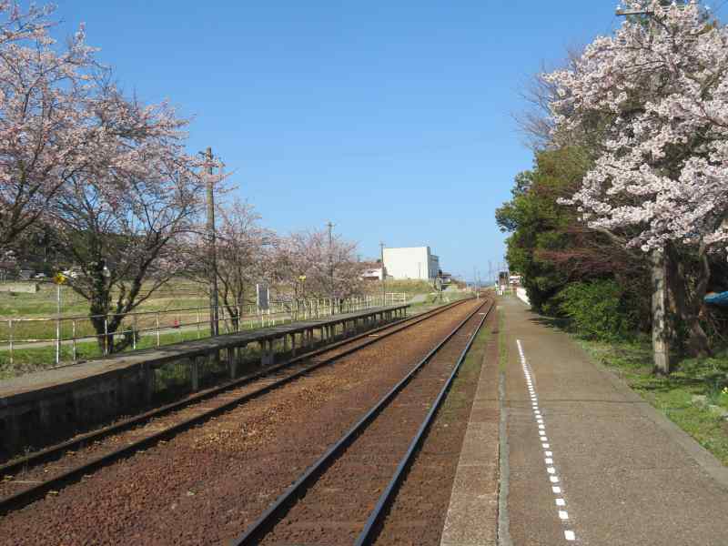 f:id:mannenNA:20220415195547j:plain