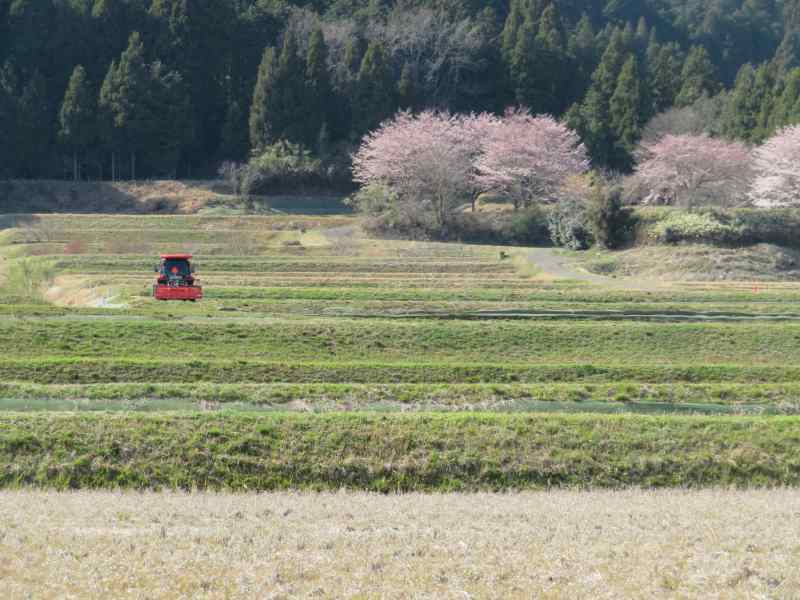 f:id:mannenNA:20220415195622j:plain