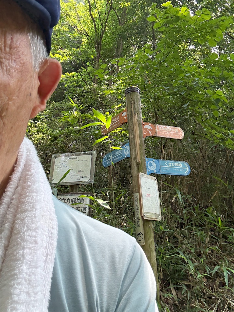 f:id:mannpomann:20250703140605j:image