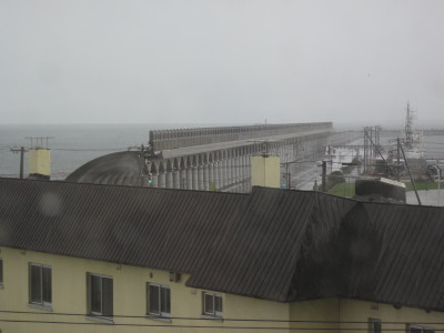 Img_0459 Img_0459