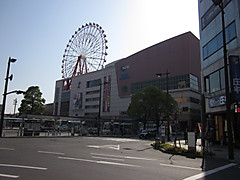 Img_1055 Img_1055