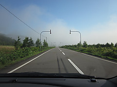 Img_1662 Img_1662