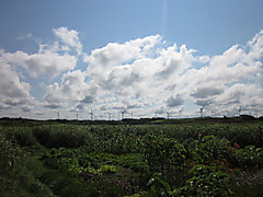 Img_1673 Img_1673