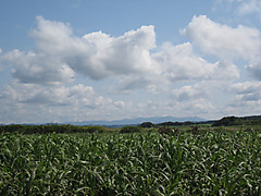 Img_1675 Img_1675