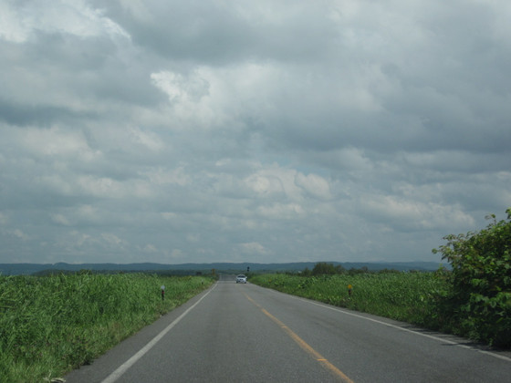 Img_1780 Img_1780