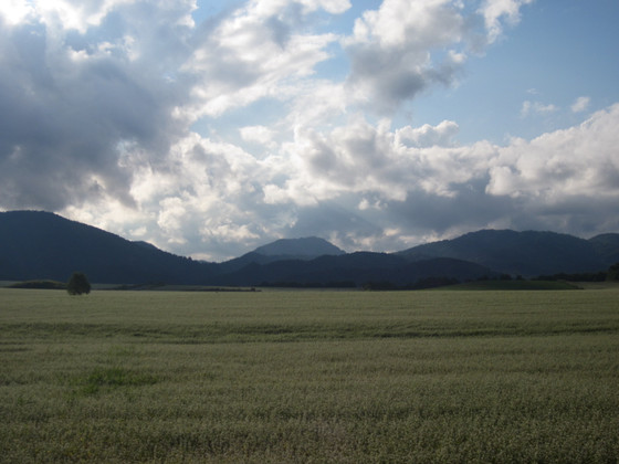 Img_1850 Img_1850