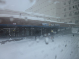 Img_2111 Img_2111