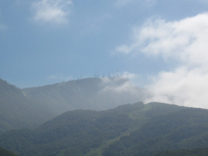 Img_5729 Img_5729