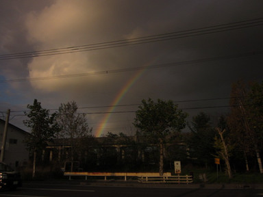 Img_7866 Img_7866