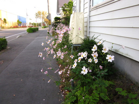 Img_7709 Img_7709