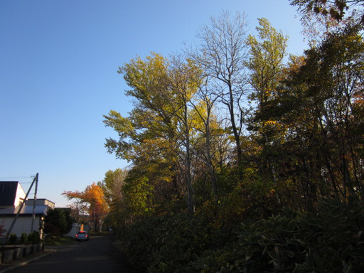 Img_7912 Img_7912