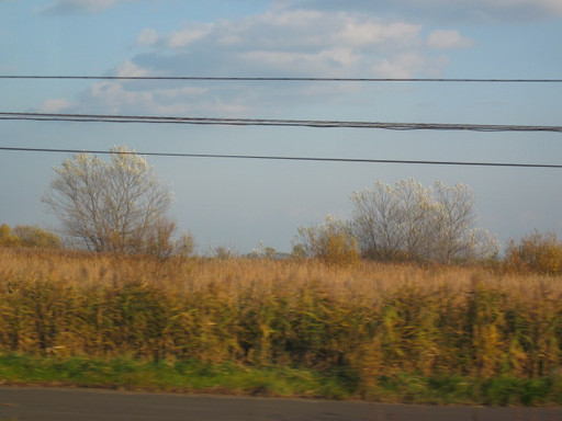 Img_7967 Img_7967