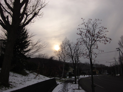 Img_8765 Img_8765
