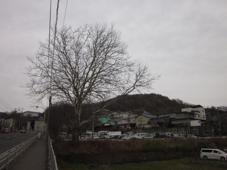 Img_8882 Img_8882