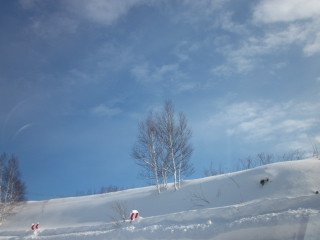 Img_9401 Img_9401