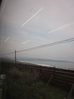 Img_1142 Img_1142