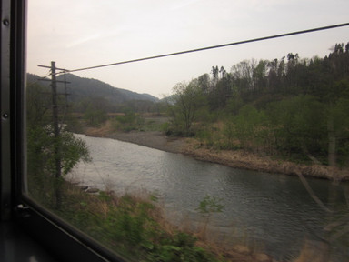 Img_1156 Img_1156